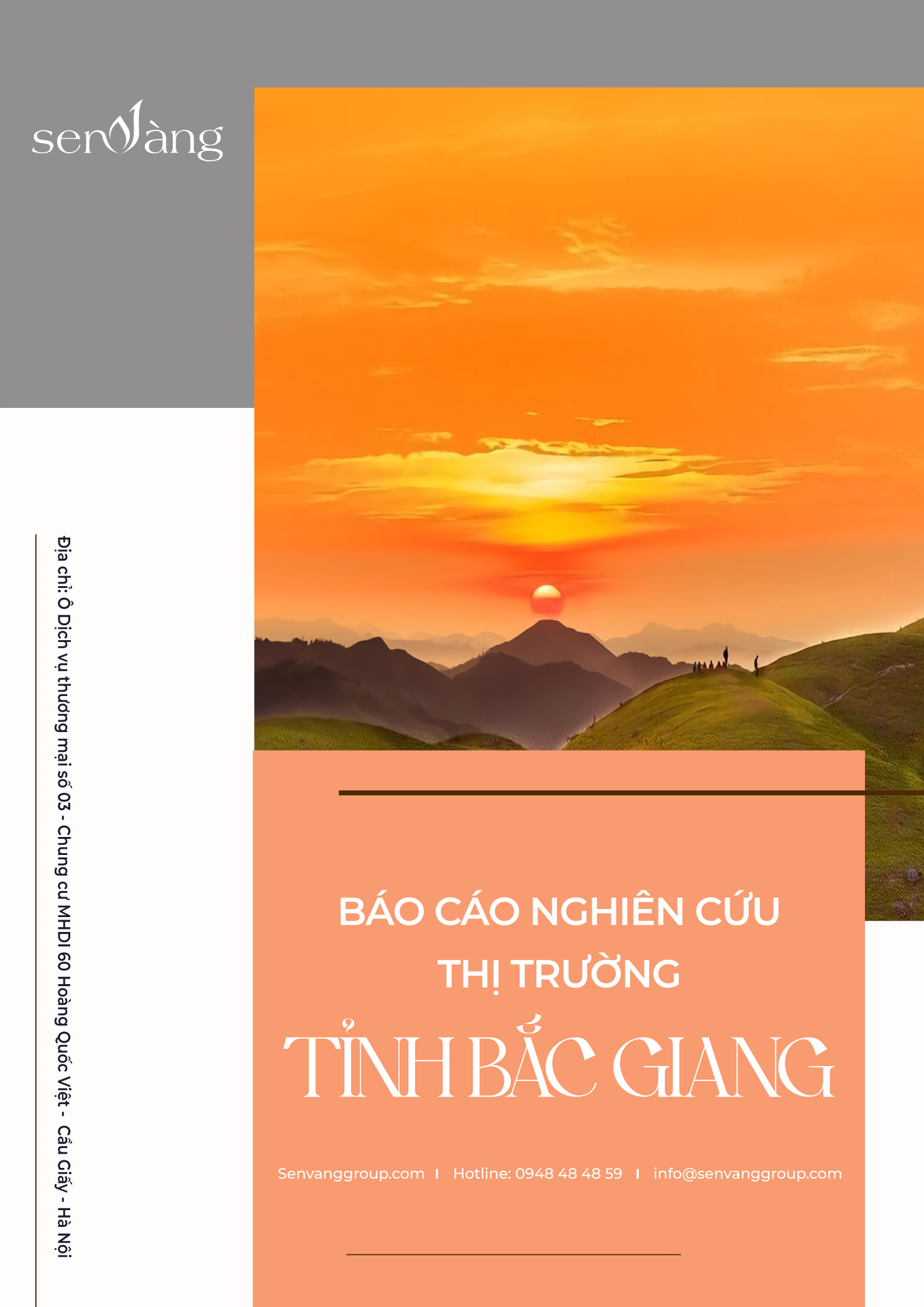 Báo cáo nghiên cứu thị trường tỉnh Bắc Giang