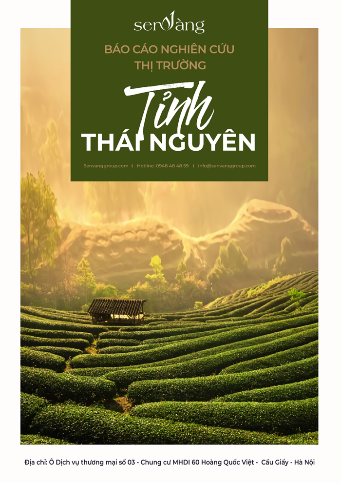 Báo cáo nghiên cứu thị trường tỉnh Thái Nguyên