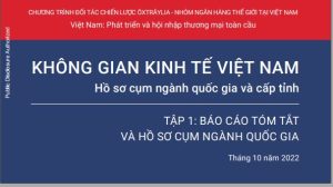 Cấu trúc không gian kinh tế Việt Nam